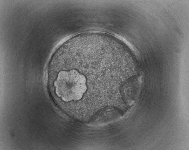 X0000116101413201001040943