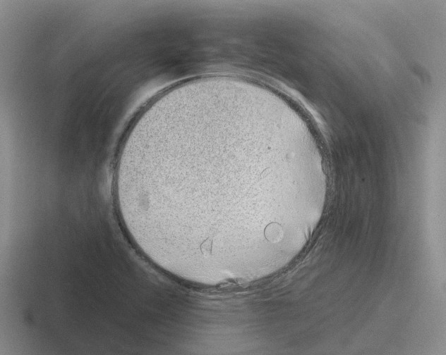 X0000116101416201001040943