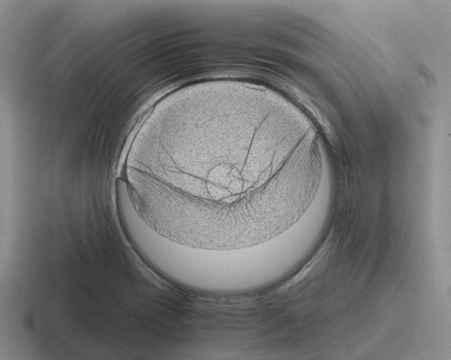 X0000116101417201001040943