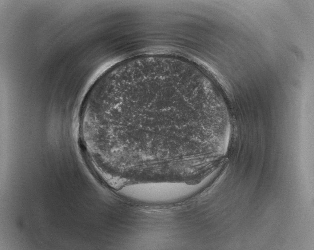 X0000116101418201001040943