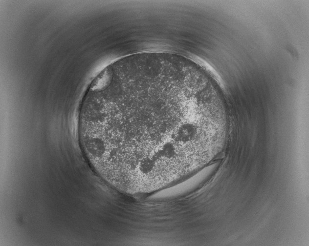 X0000116101419201001040943