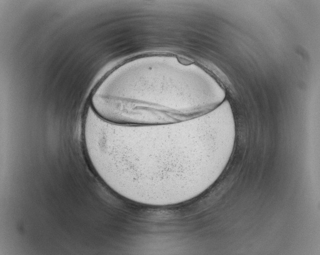 X0000116101420201001040943