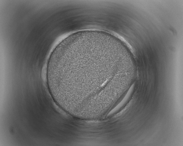 X0000116101421201001040943