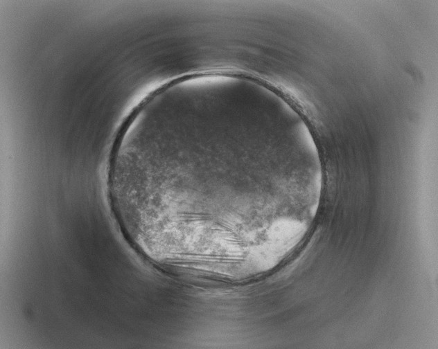 X0000116101422201001040943