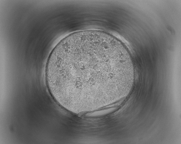 X0000116101423201001040943