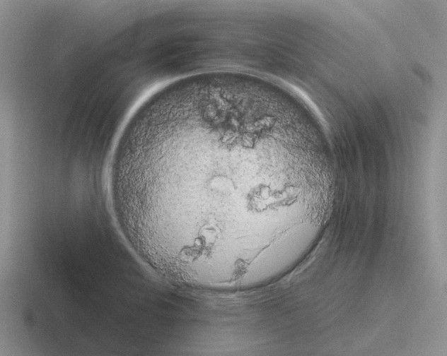 X0000116101424201001040943