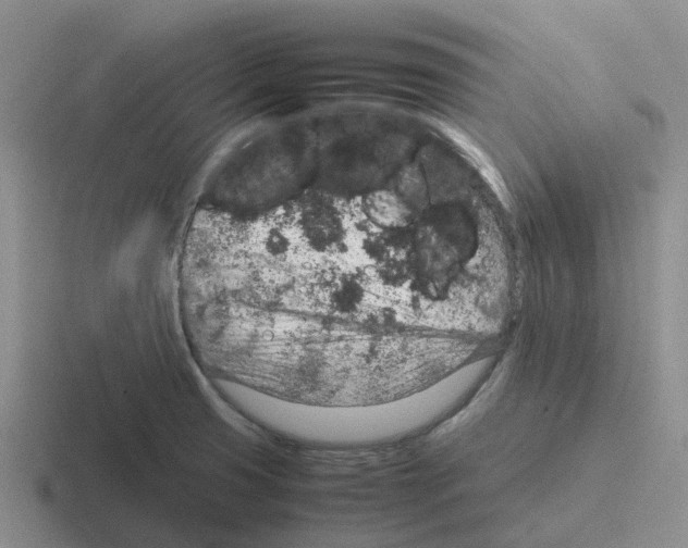 X0000116101425201001040943