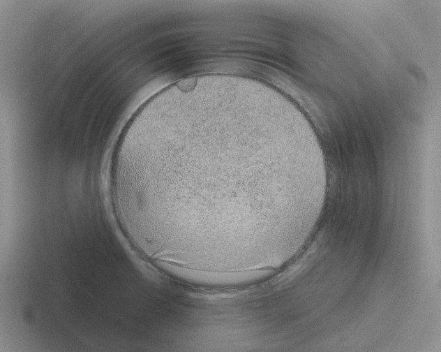 X0000116101426201001040943