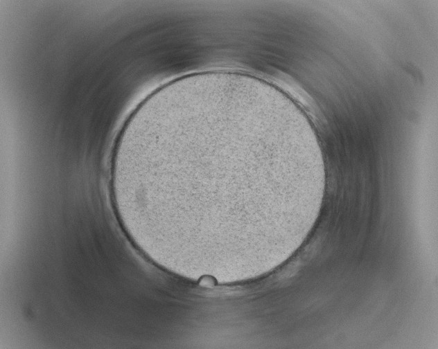 X0000116101430201001040943