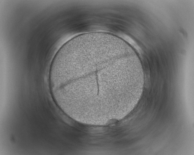 X0000116101431201001040943