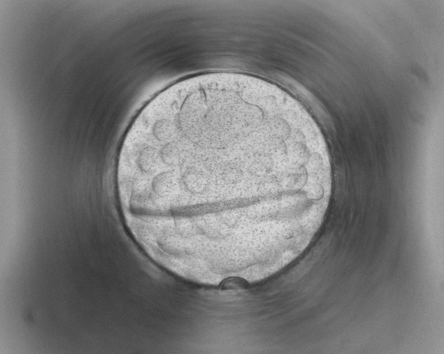 X0000116101432201001040943