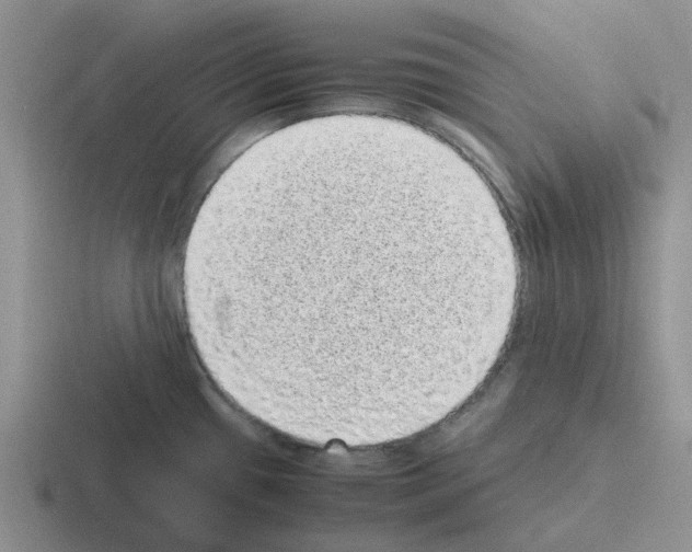 X0000116101433201001040943