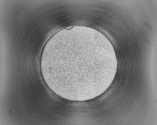 X0000116101434201001040943