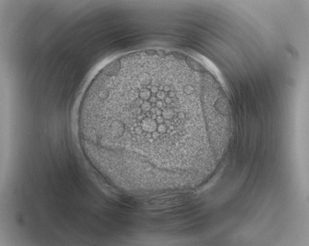 X0000116101435201001040943