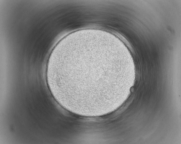 X0000116101438201001040943