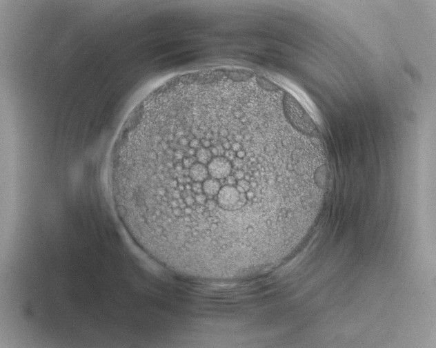 X0000116101439201001040943