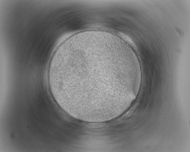 X0000116101440201001040943