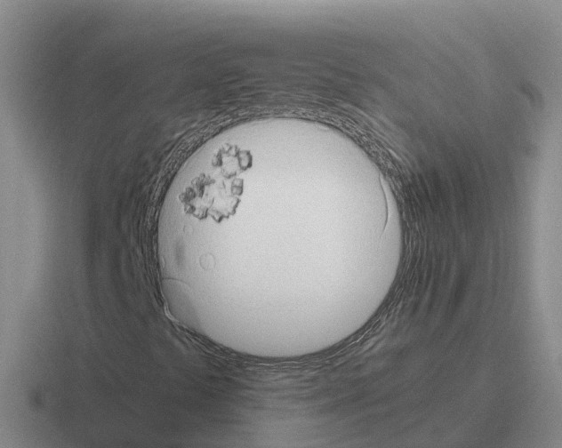 X0000116101441201001040943