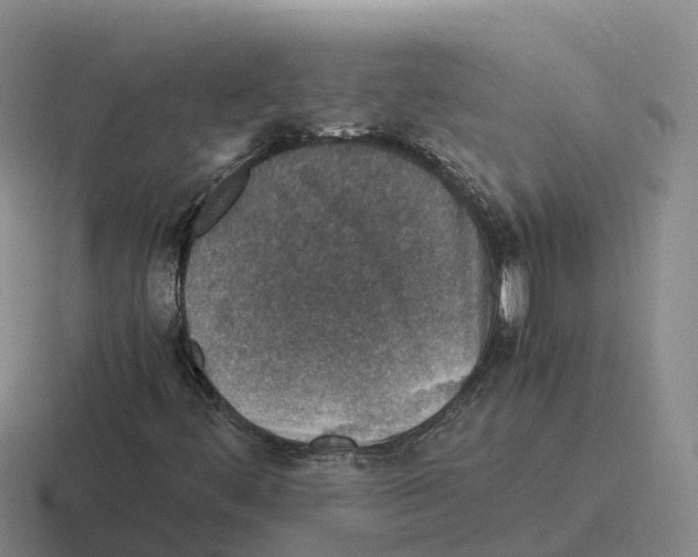 X0000116101444201001040942