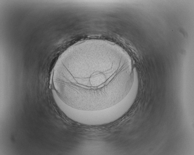 X0000116101445201001040942