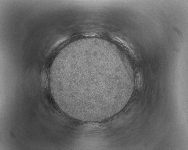 X0000116101446201001040942