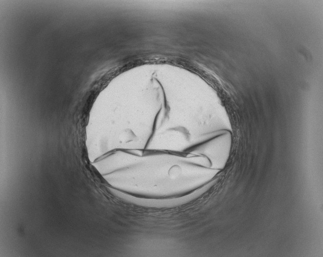 X0000116101447201001040942