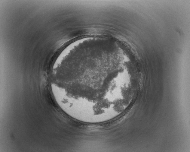 X0000116101449201001040942