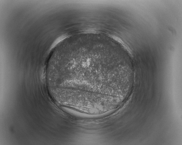 X0000116101450201001040942