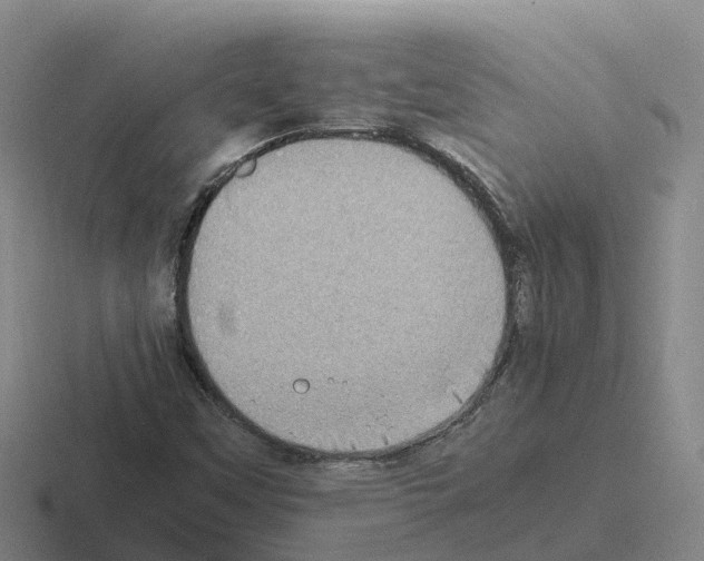 X0000116101451201001040942