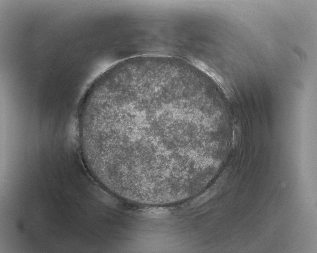 X0000116101454201001040942