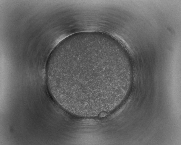 X0000116101457201001040942