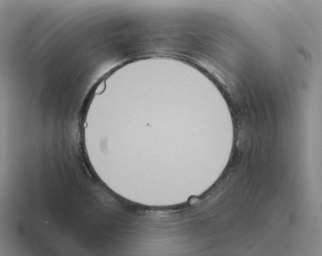 X0000116101458201001040942