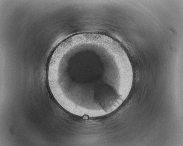 X0000116101459201001040942