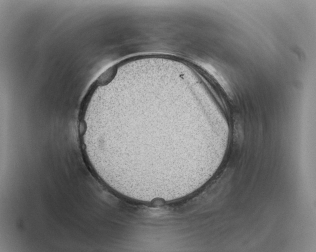 X0000116101460201001040942