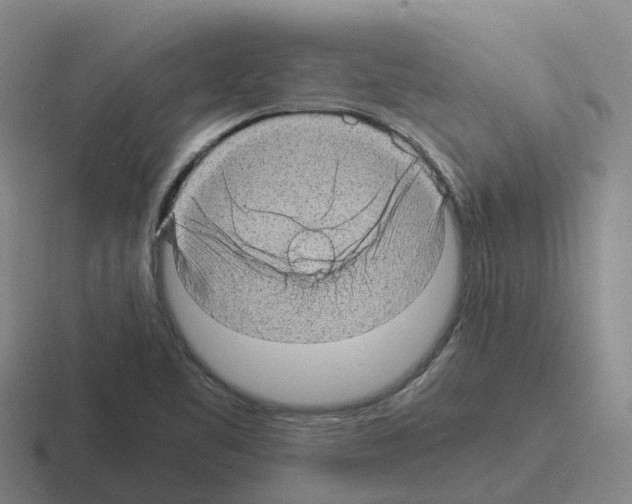 X0000116101461201001040942