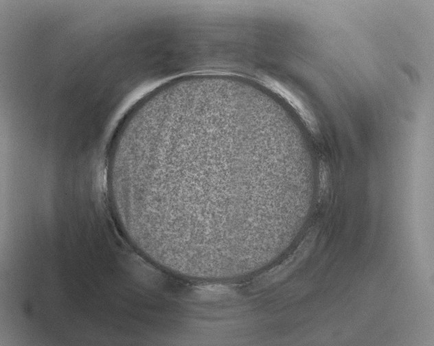 X0000116101462201001040942