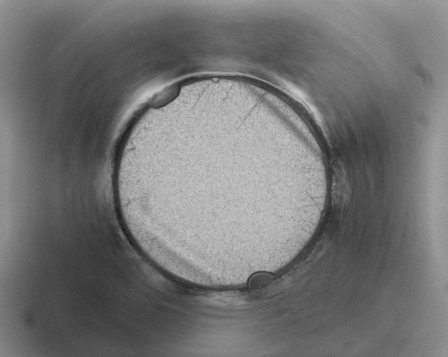 X0000116101464201001040942