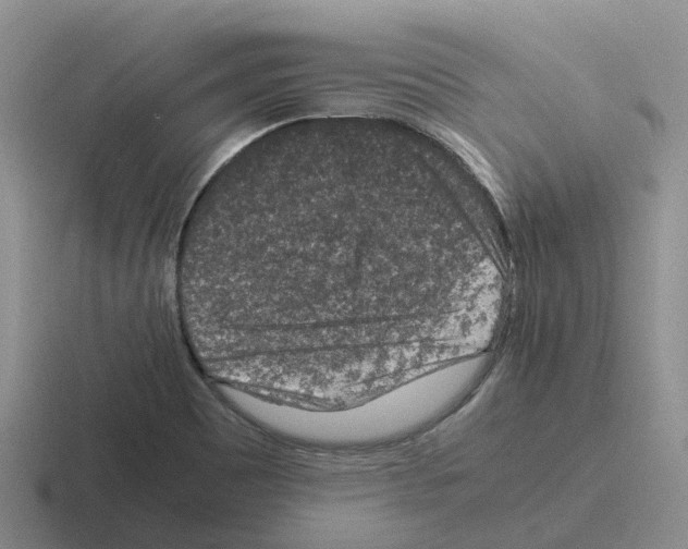 X0000116101465201001040942