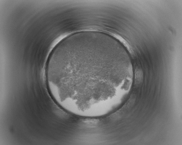 X0000116101466201001040942