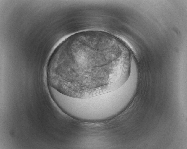 X0000116101468201001040942