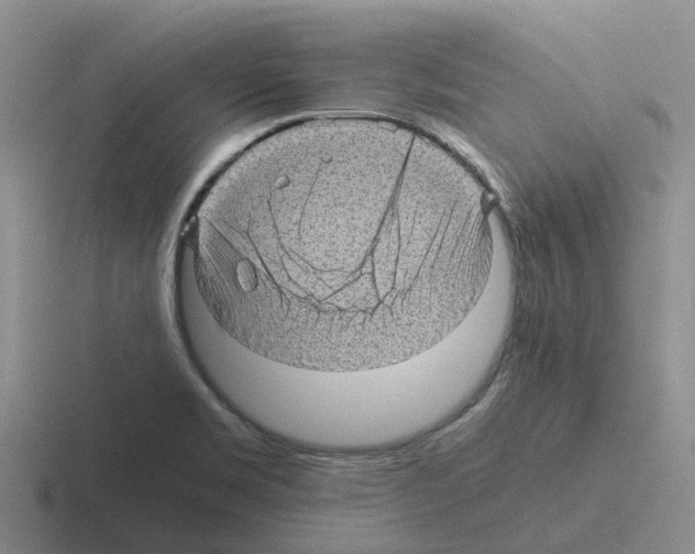 X0000116101469201001040942