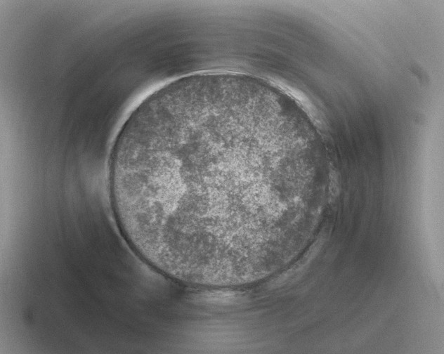 X0000116101470201001040942