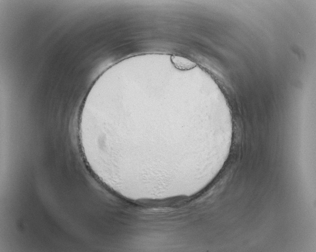 X0000116101471201001040942