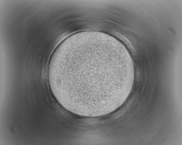 X0000116101473201001040942