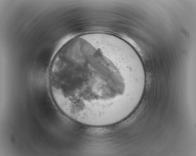 X0000116101474201001040942