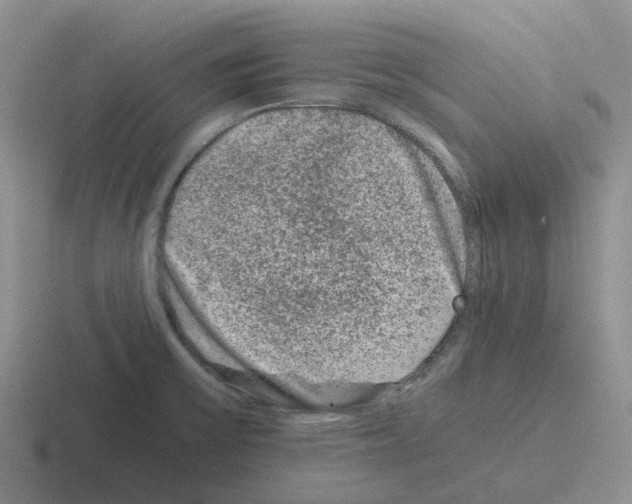 X0000116101475201001040942