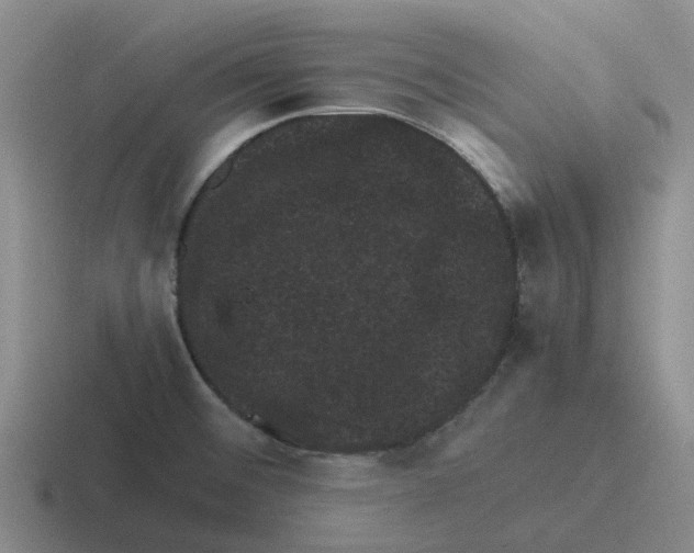 X0000116101476201001040942