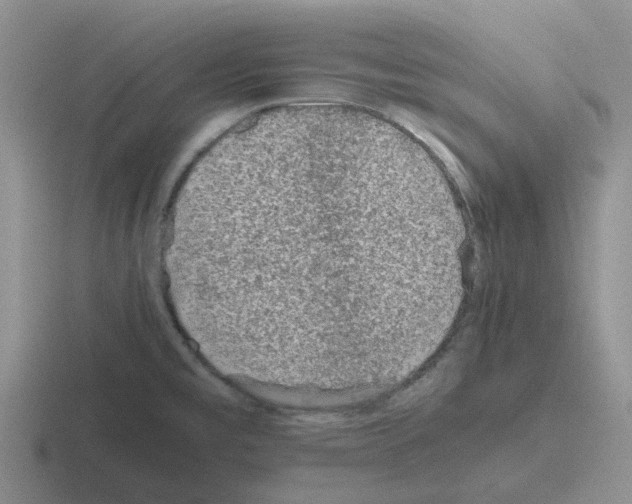 X0000116101477201001040942