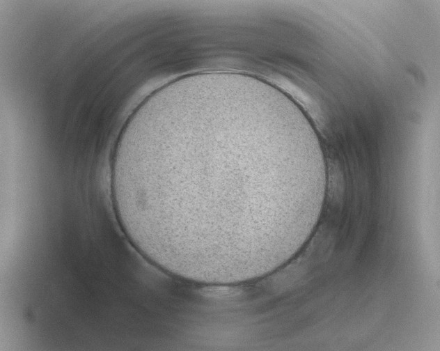 X0000116101478201001040942