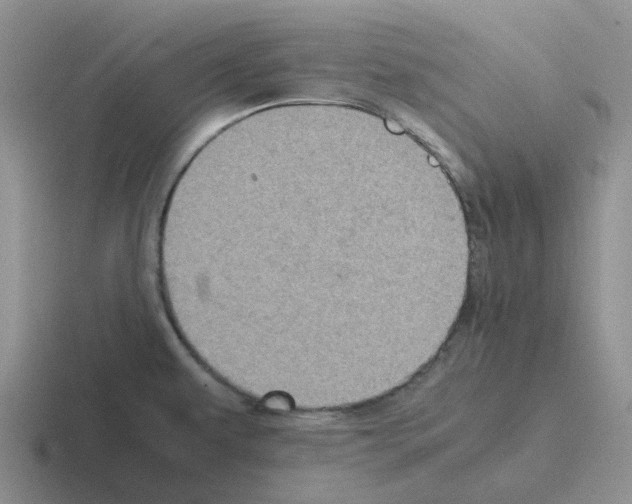 X0000116101479201001040942